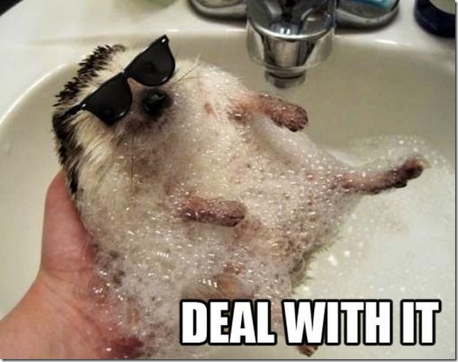 deal-with-it