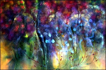 rosy-paintbrush-don-wright